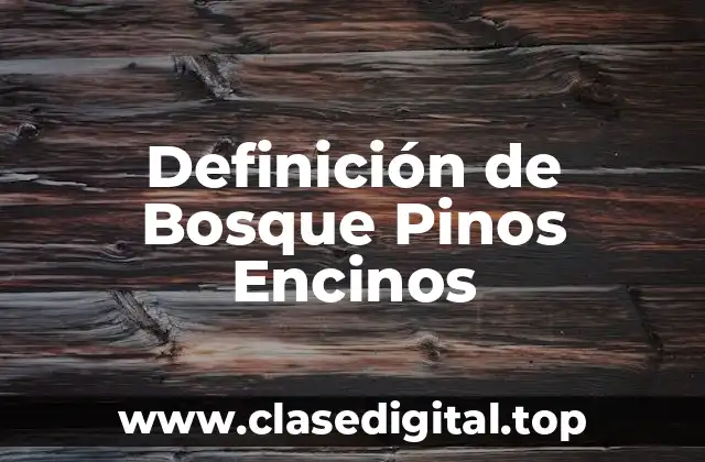 Definición de Bosque Pinos Encinos