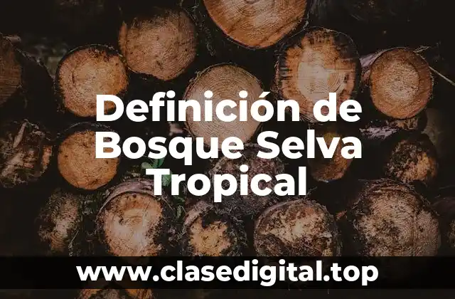 Definición de Bosque Selva Tropical