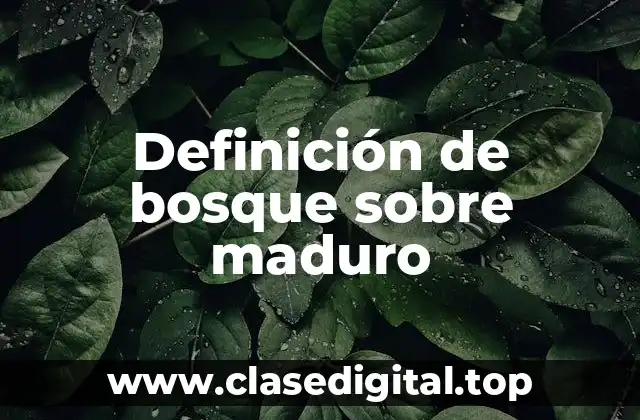 Definición de bosque sobre maduro