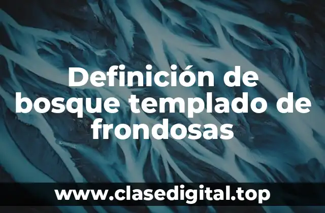 Definición de bosque templado de frondosas