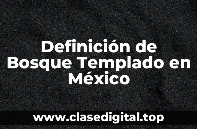 Definición de Bosque Templado en México