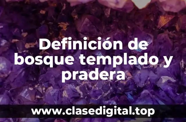 Definición de bosque templado y pradera