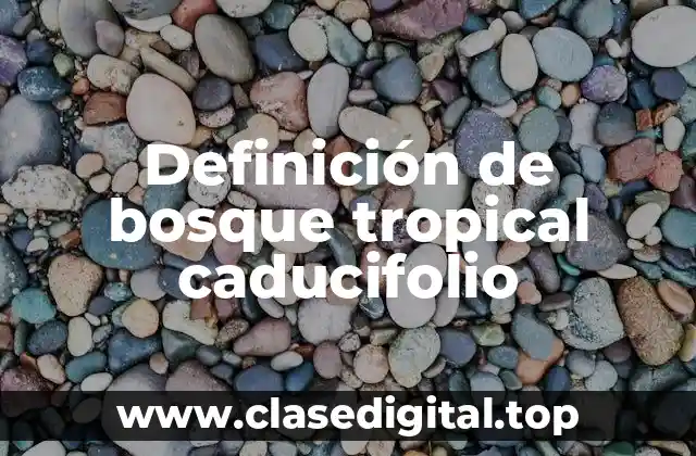 Definición de bosque tropical caducifolio