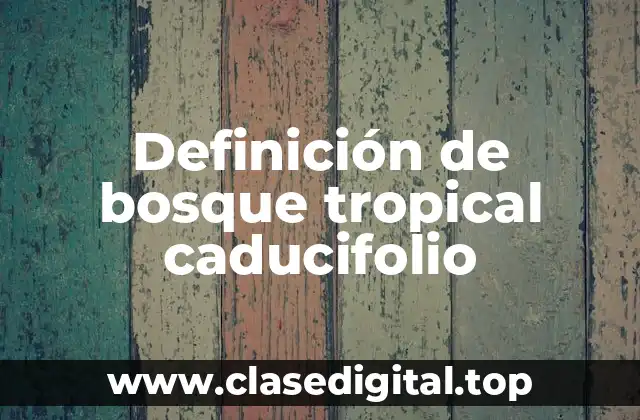Definición técnica de bosque tropical caducifolio