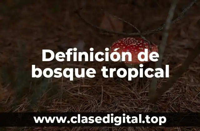 Definición de bosque tropical