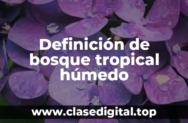 Definición de bosque tropical húmedo