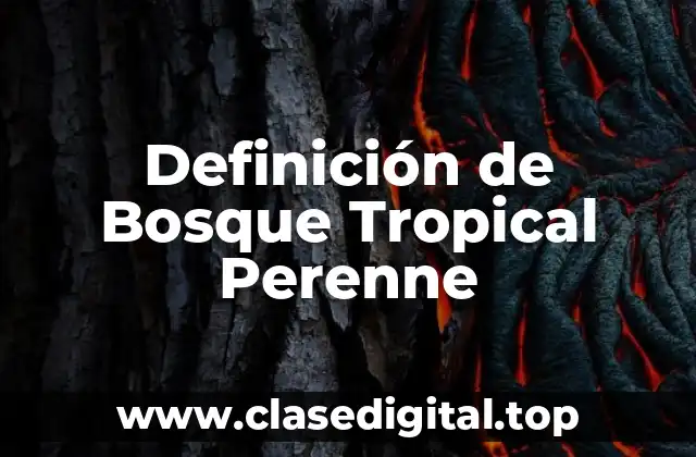 Definición técnica de Bosque Tropical Perenne
