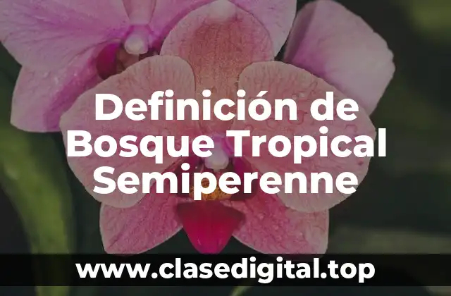 Definición de Bosque Tropical Semiperenne