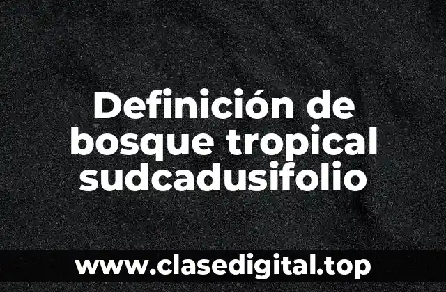 Definición de bosque tropical sudcadusifolio