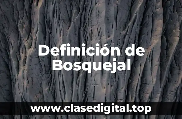 Definición de Bosquejal