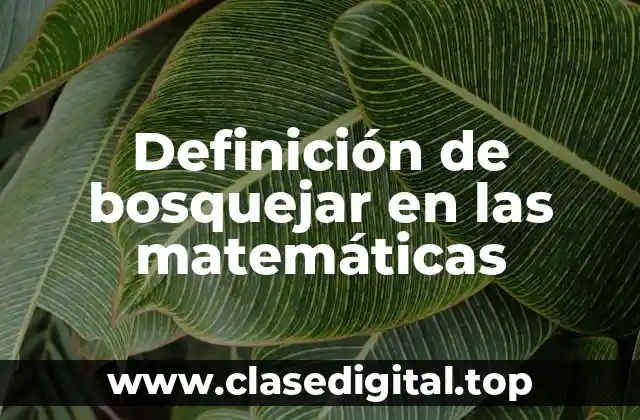 Definición de bosquejar en las matemáticas