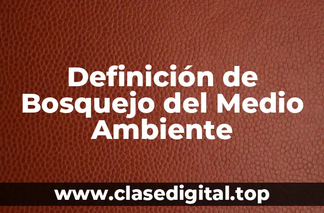 Definición de Bosquejo del Medio Ambiente