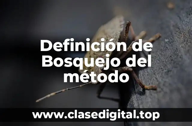 Definición técnica de bosquejo del método