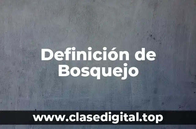 Definición de Bosquejo