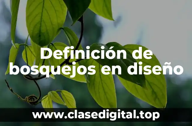 Definición de bosquejos en diseño