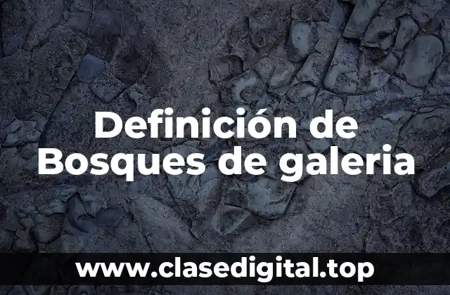 Definición de Bosques de galeria