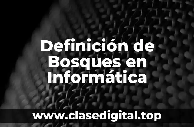 Definición de Bosques en Informática