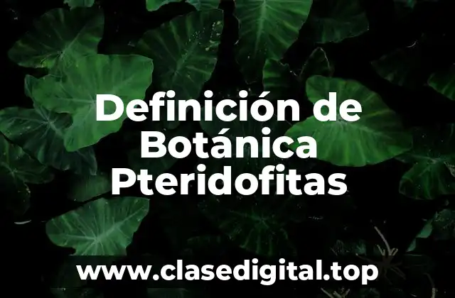 Ejemplos de Botánica Pteridofitas