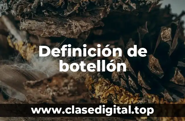 Definición de botellón