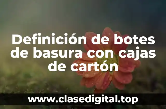 Definición de botes de basura con cajas de cartón