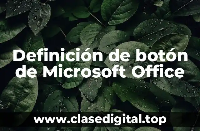 Definición de botón de Microsoft Office