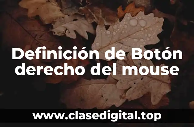 Definición técnica del botón derecho del mouse