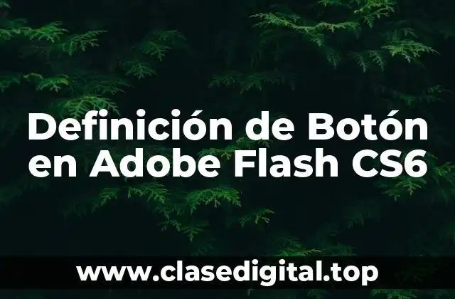 Definición de Botón en Adobe Flash CS6
