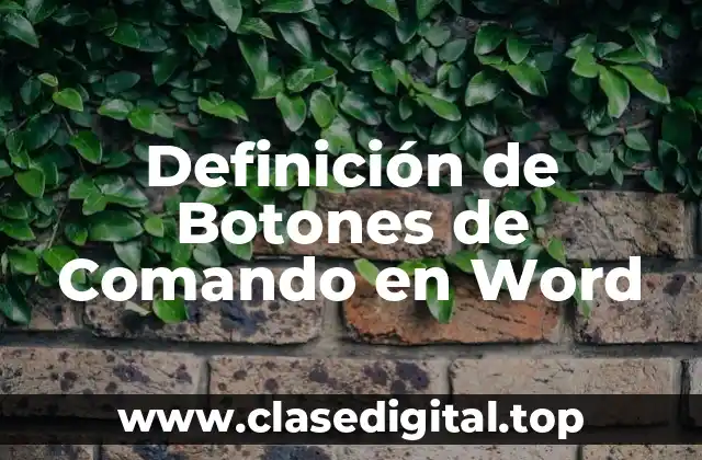 Definición de Botones de Comando en Word