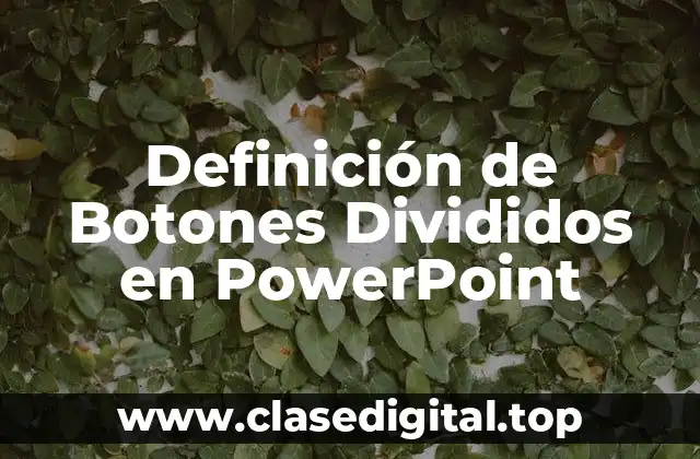 Definición de Botones Divididos en PowerPoint