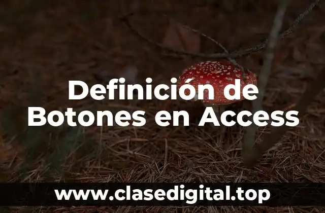 Definición de Botones en Access