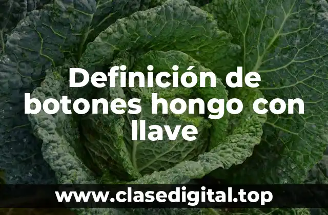 Definición de botones hongo con llave