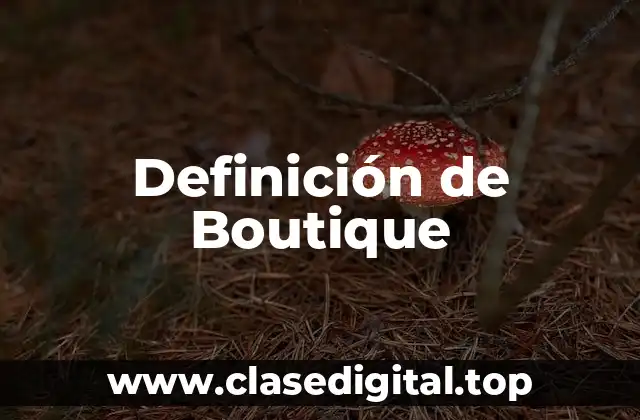 Definición técnica de boutique