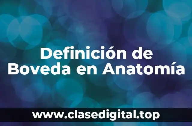 Definición de Boveda en Anatomía