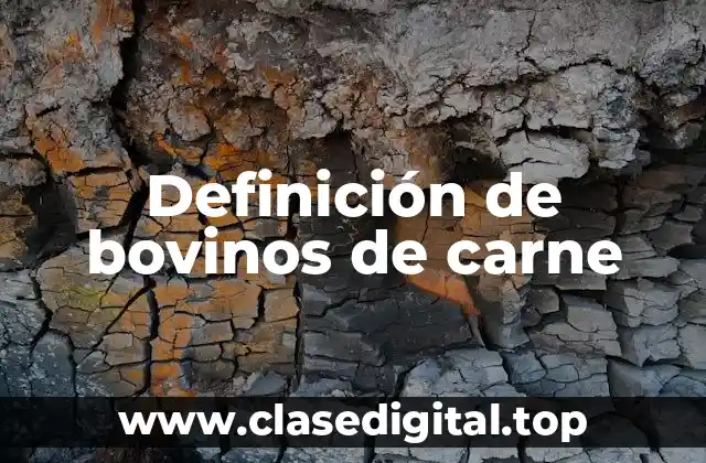 Definición de bovinos de carne