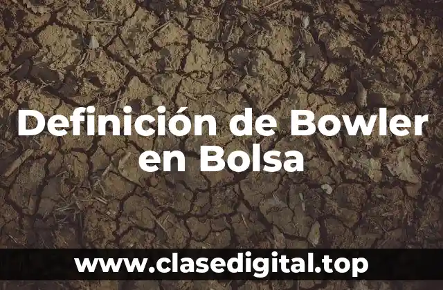 Definición de Bowler en Bolsa