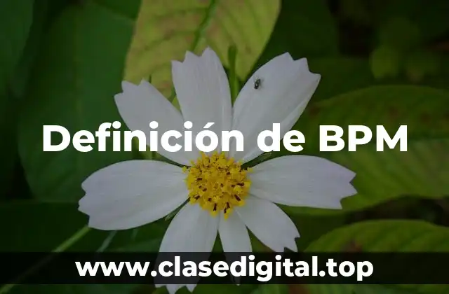 Definición de BPM