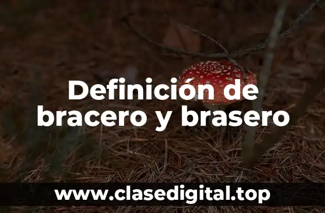 Definición técnica de bracero y brasero