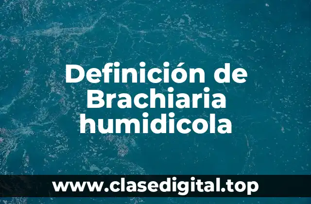 Definición de Brachiaria humidicola