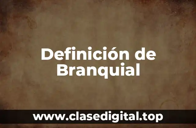 Definición de Branquial