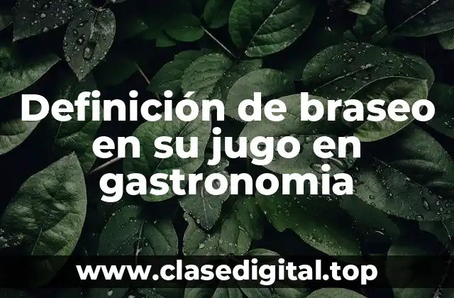Definición técnica de braseo en su jugo