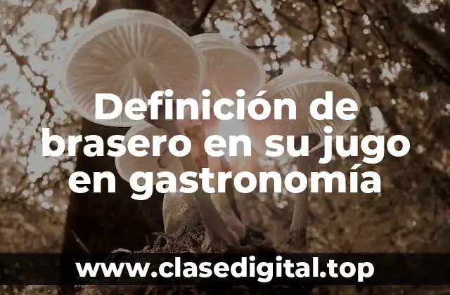 Definición de brasero en su jugo en gastronomía