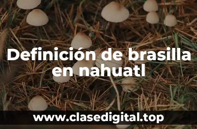 Definición de brasilla en nahuatl
