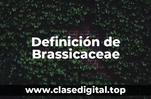 Definición de Brassicaceae