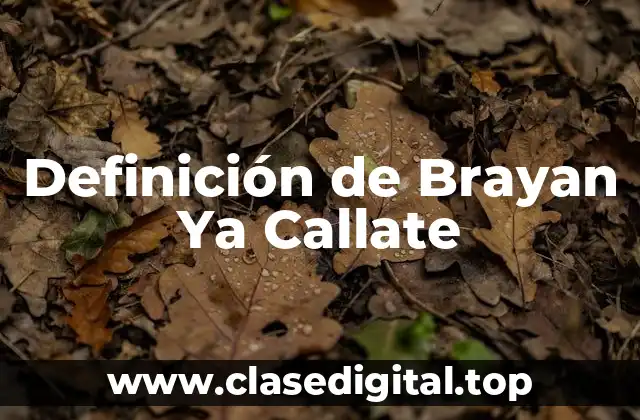 Definición de Brayan Ya Callate