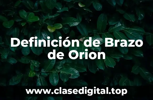Definición de Brazo de Orion