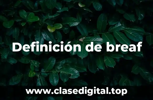 Definición de breaf