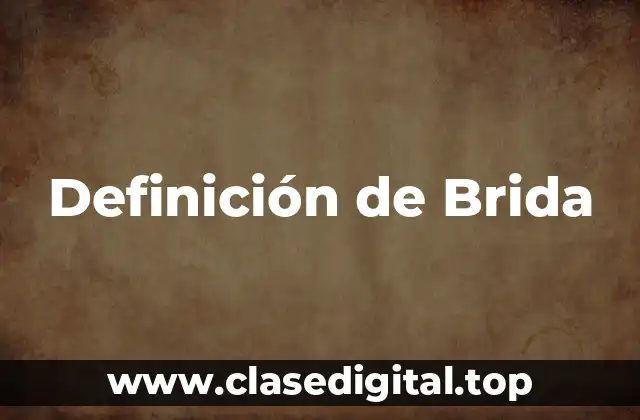 Definición de Brida