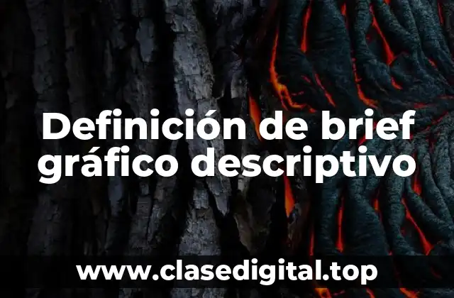 Definición de brief gráfico descriptivo