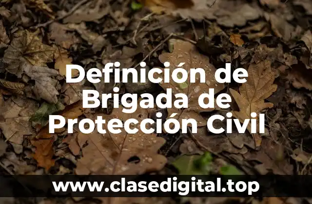 Definición de Brigada de Protección Civil