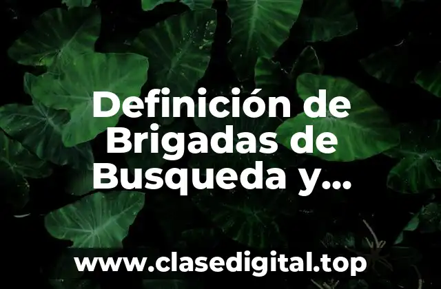 Definición de Brigadas de Busqueda y Salvamento